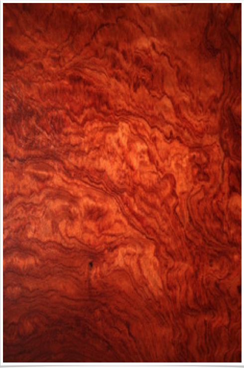 Bubinga Bubinga