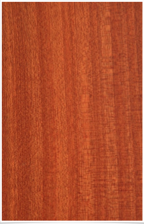 Sapele Sapele