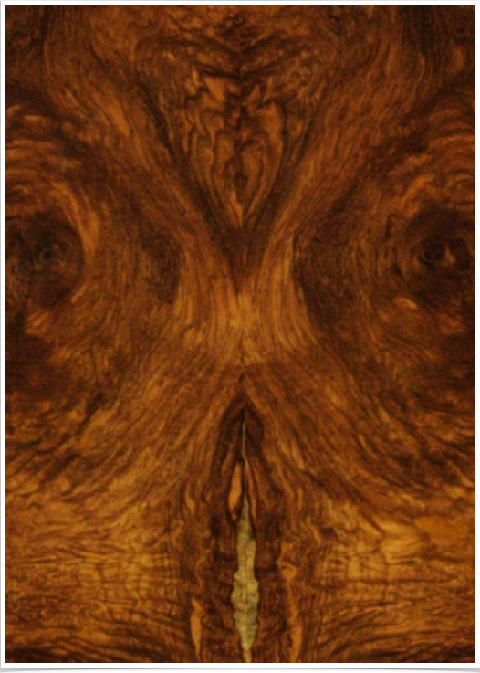 Honduran Rosewood Honduran Rosewood