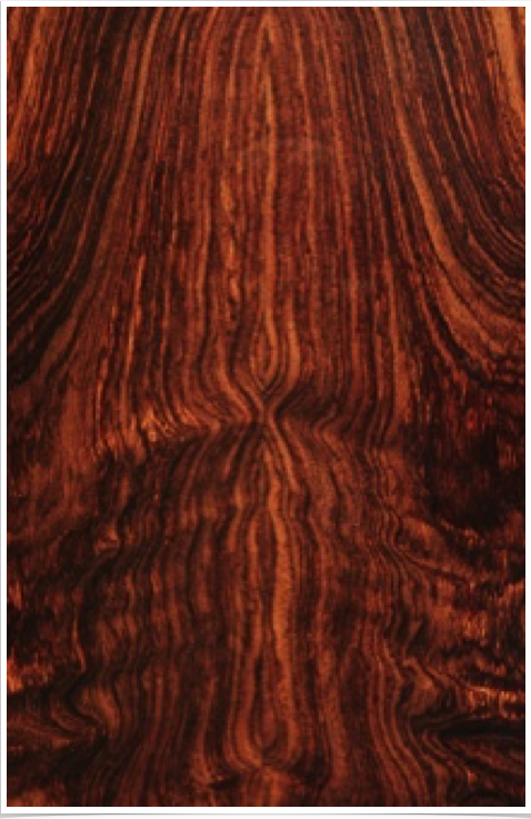 Indian Rosewood Indian Rosewood