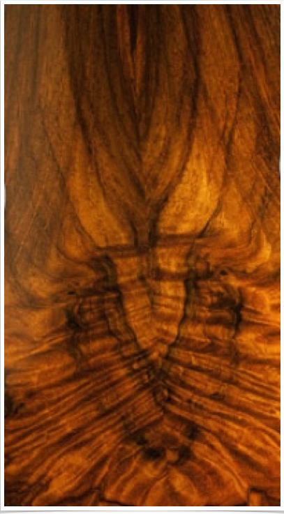 Brazilian Rosewood Brazilian Rosewood