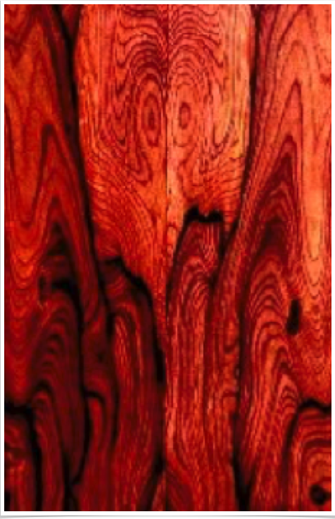 Cocobolo Cocobolo
