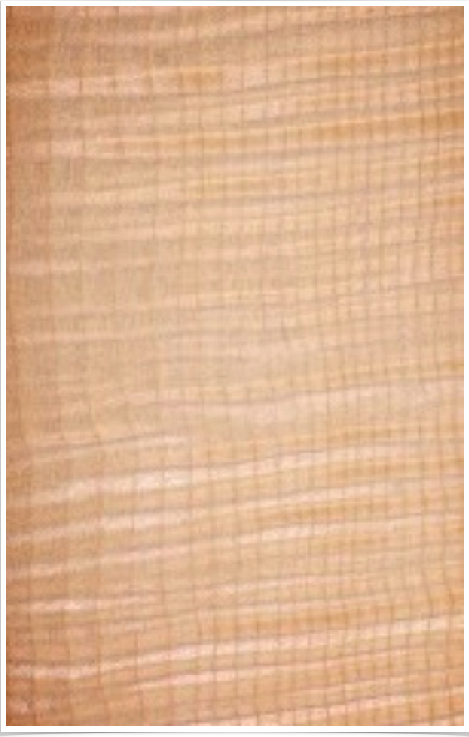 Flamed Maple Flamed Maple