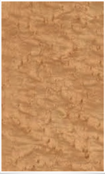 Birdseye Maple Birdseye Maple