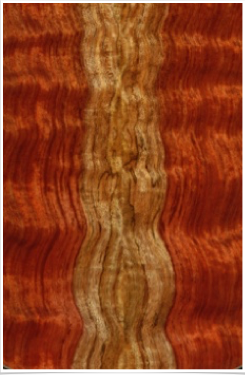Bubinga Bubinga