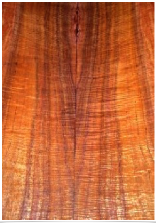 Acacia Koa Acacia Koa