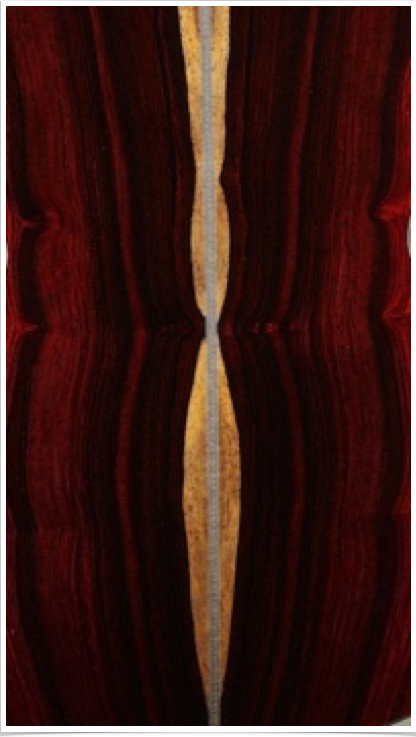 Cocobolo Cocobolo