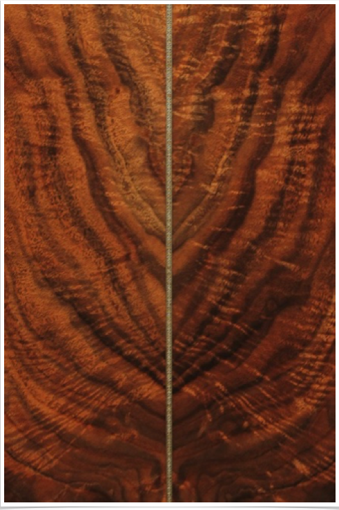 Claro Walnut Claro Walnut