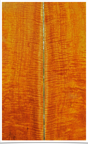 DSC_8637_g17it4.png