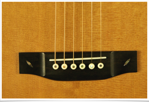 DSC_8698_g8it6.png