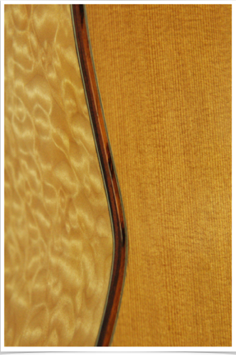 DSC_8701_g8it8.png