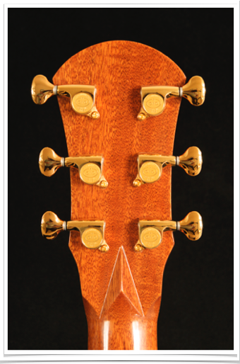 DSC_6491_g4it16.png DSC_6491_g4it16.png