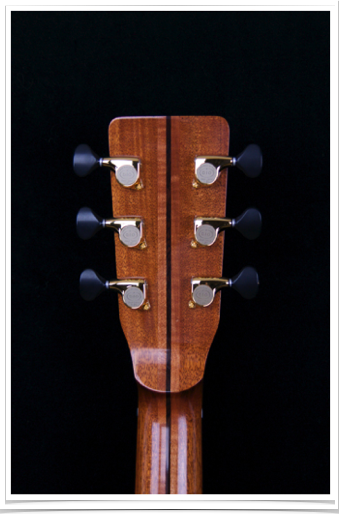 DSC_6737_g4it61.png DSC_6737_g4it61.png