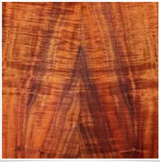 Koa Koa