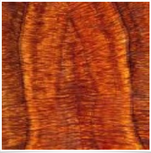 Koa Koa