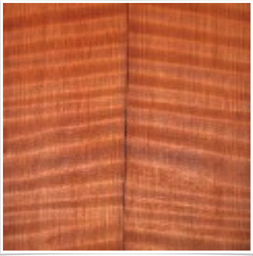 Curly Redwood Curly Redwood